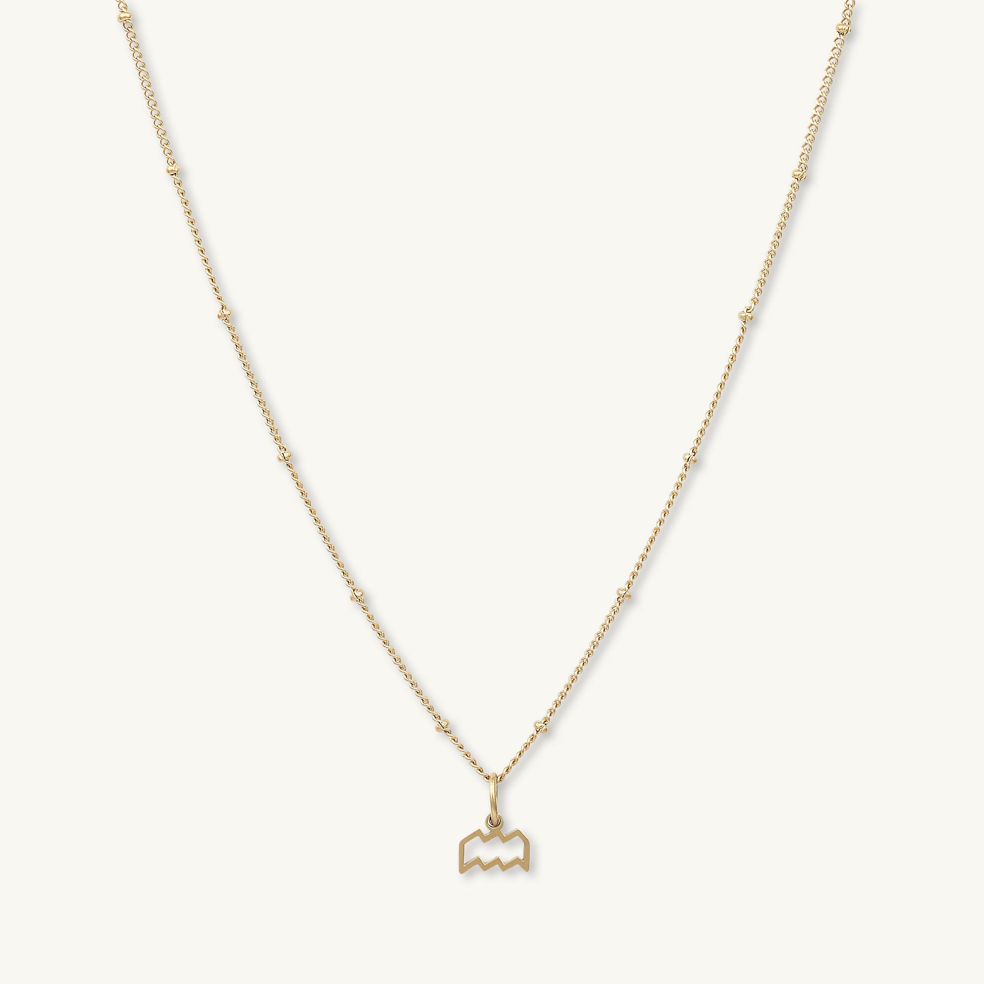 Aquarius Pendant Zodiac Star Sign Necklace - Camile & Stone