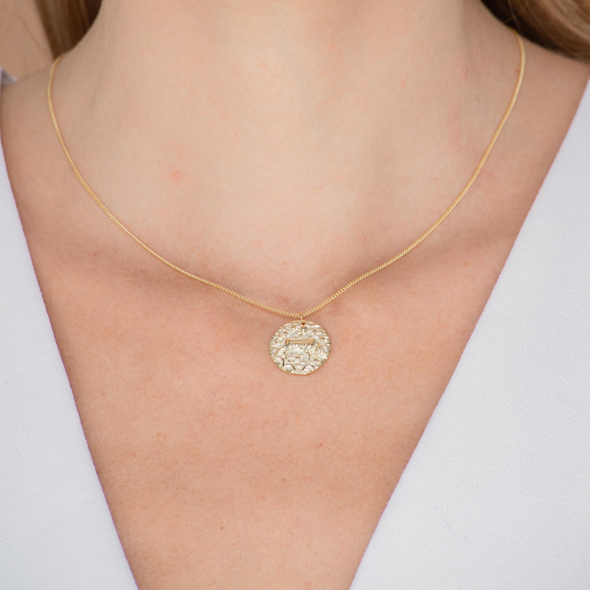Taurus - Star Sign Necklace - Camile & Stone