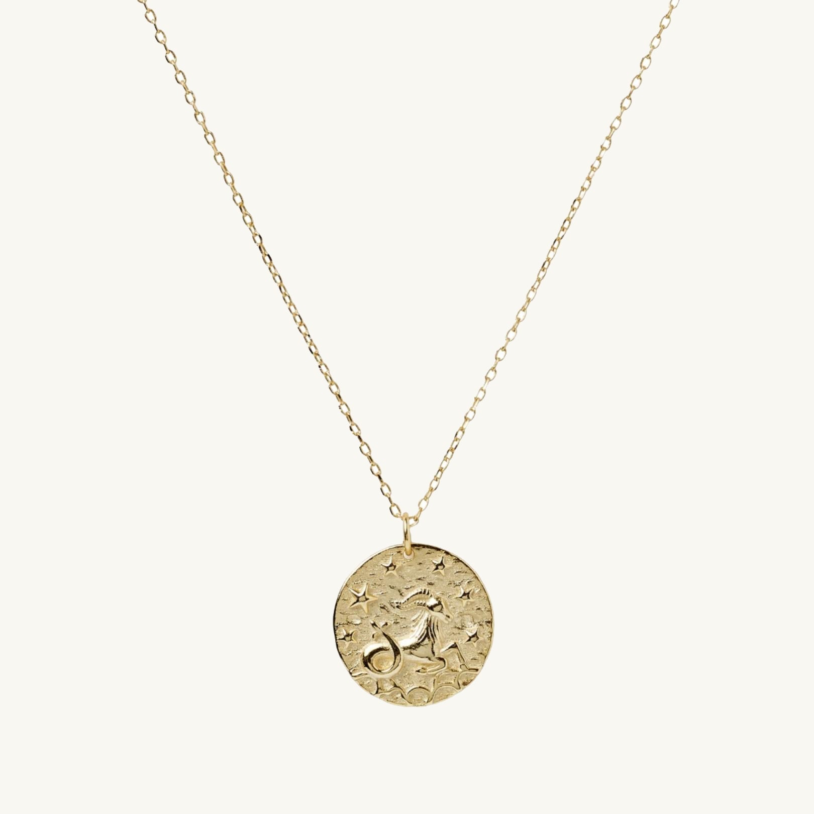 Capricorn - Star Sign Necklace - Camile & Stone