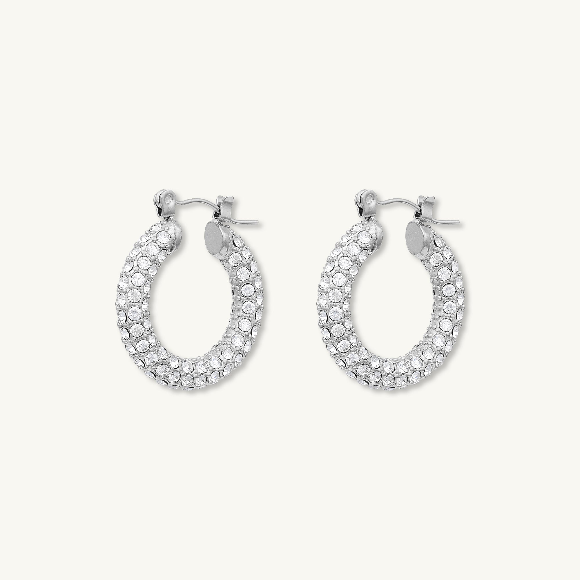 Alessia Zirconia Hoop Earrings