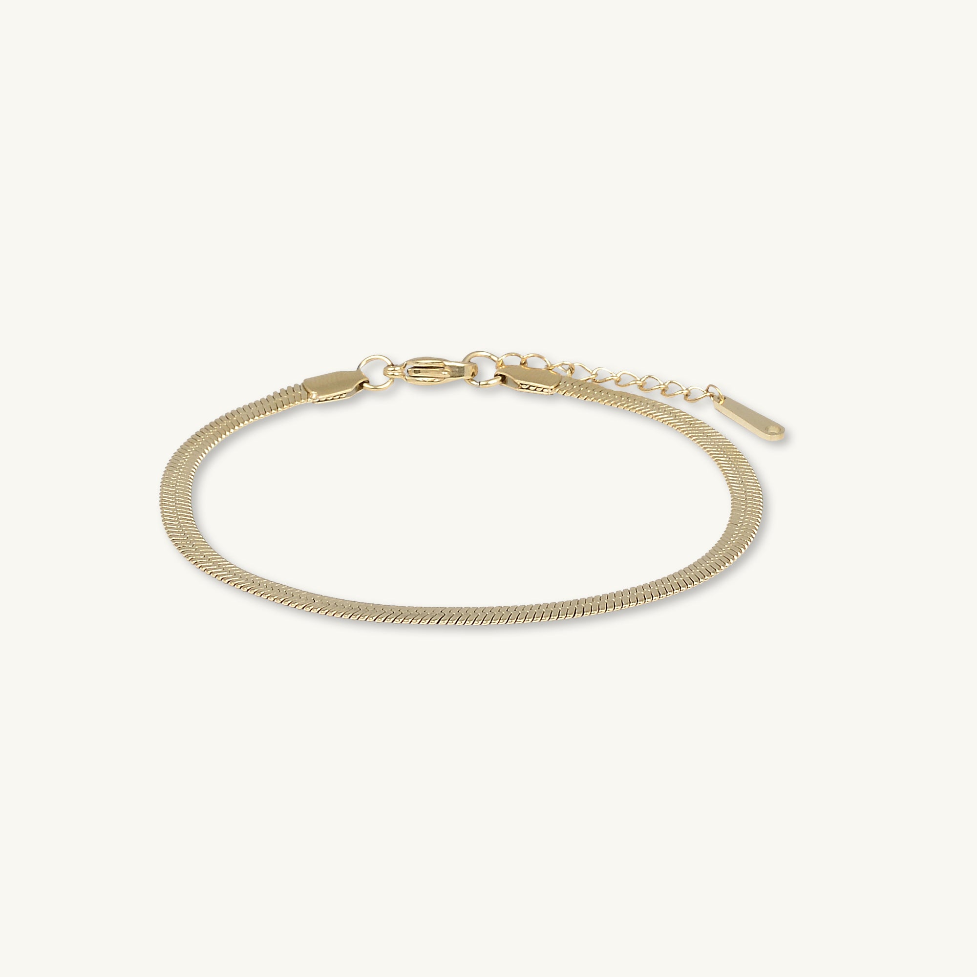 Herringbone Chain Anklet