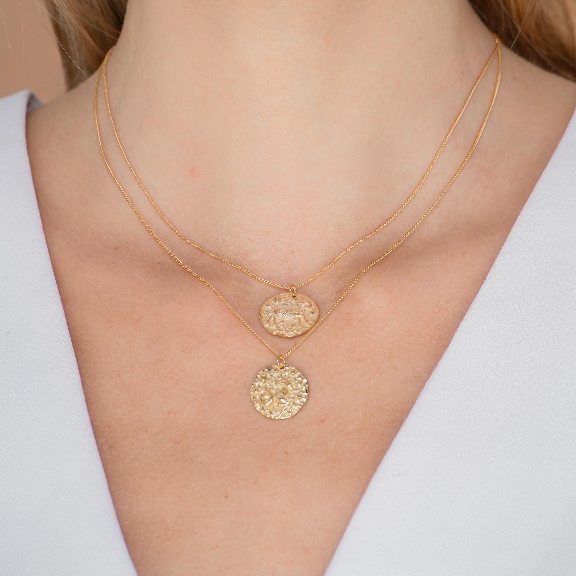Capricorn - Star Sign Necklace - Camile & Stone